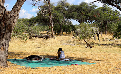 Lauren and Elephant in Botswana