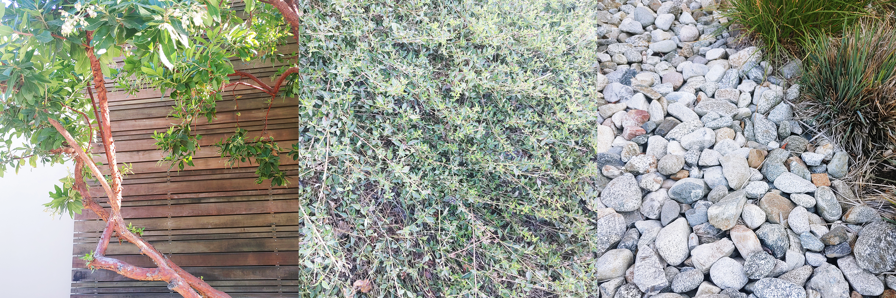 Triptych of natural materials found on CMC's campus.