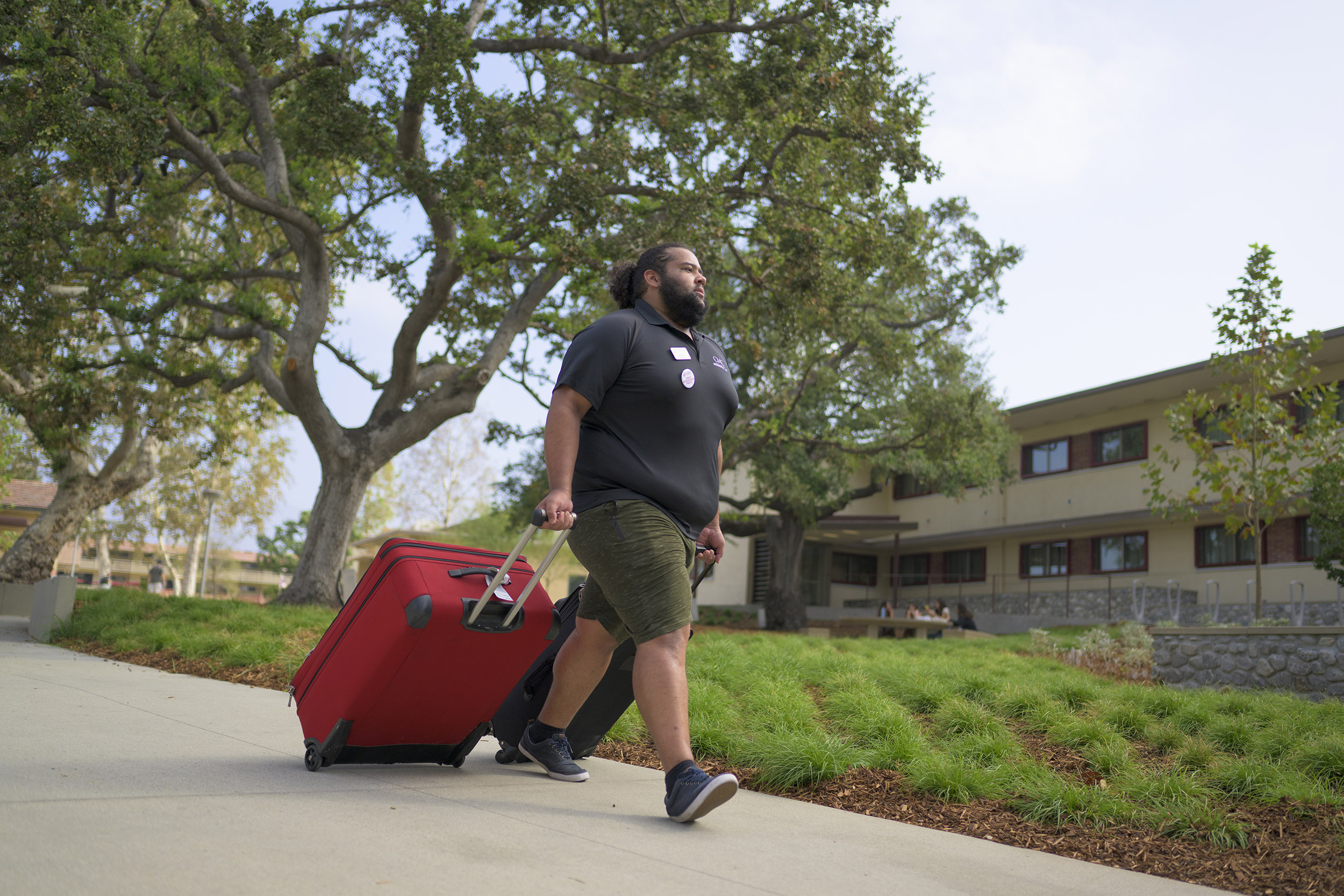 An RA walks down a a pathway in Mid Quad pulling two luggages.