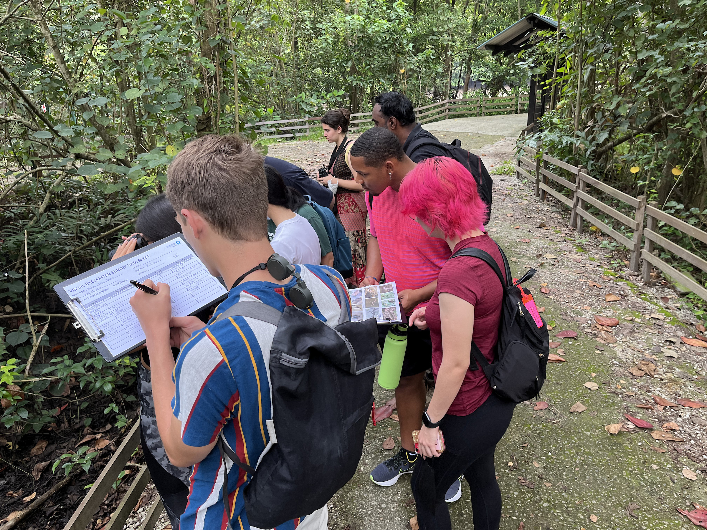Students doing research in Sungei Buloh Wetland Reserve