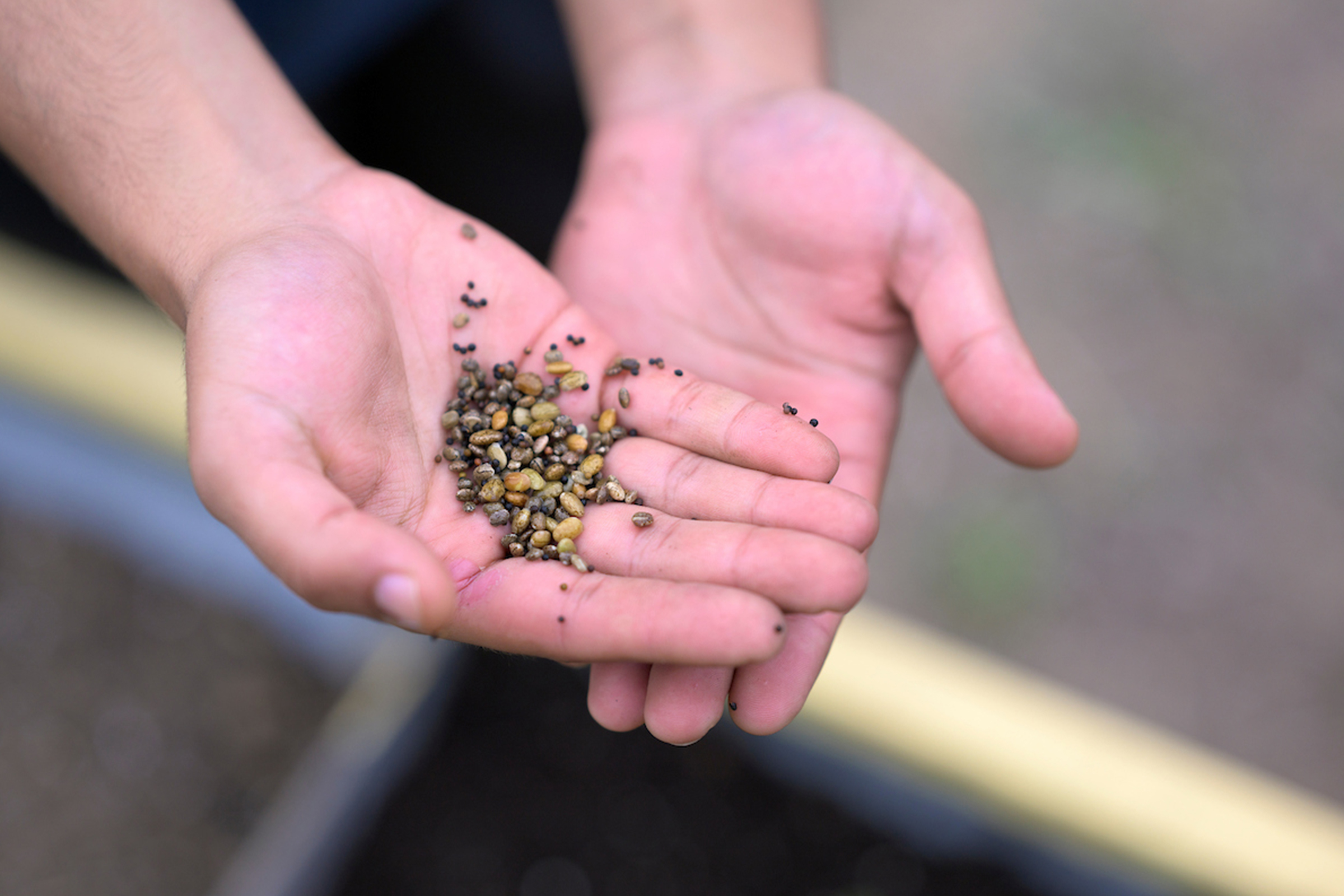 Student holding seeds