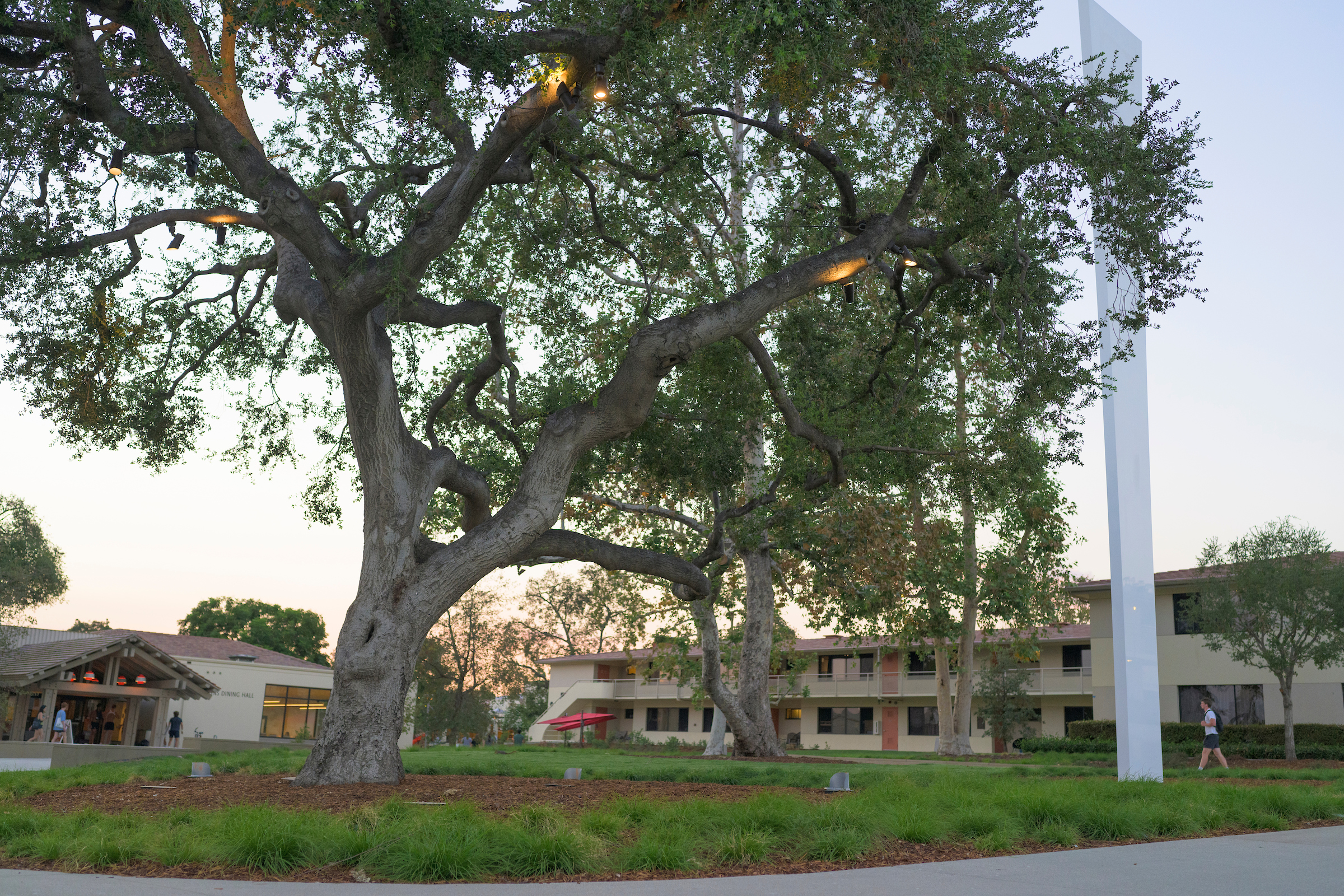 CMC's campus with sustainable plant life.