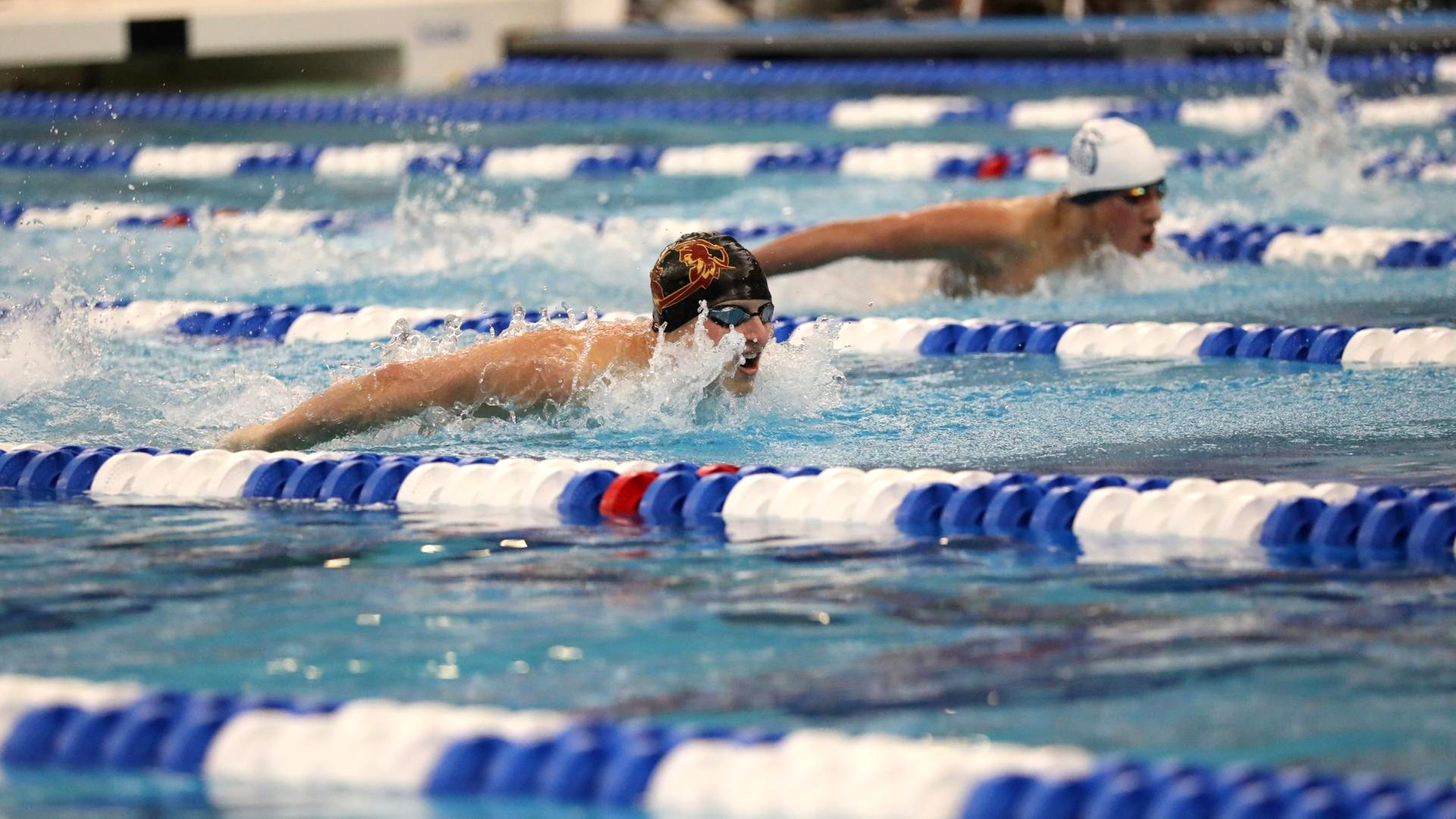 Two male swimmers compete in the pool wearing school swim caps.