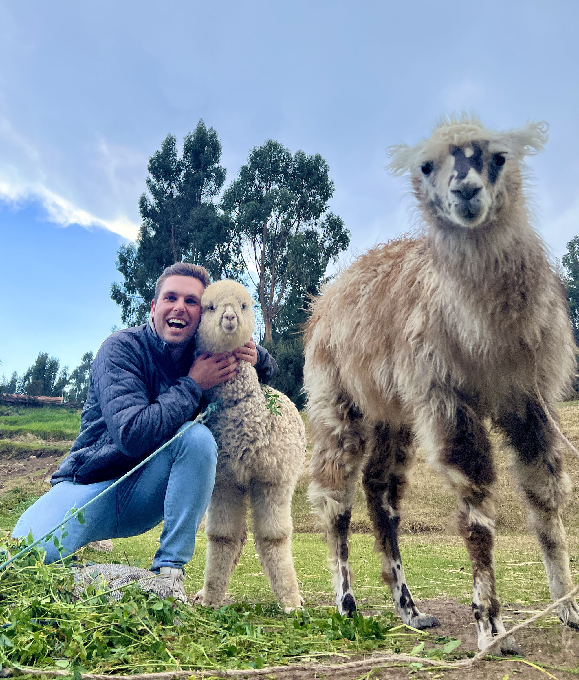 William Galbreath with alpaca.