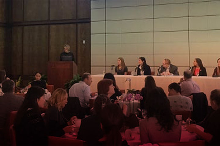 Panelists during a talk at the Athenaeum.