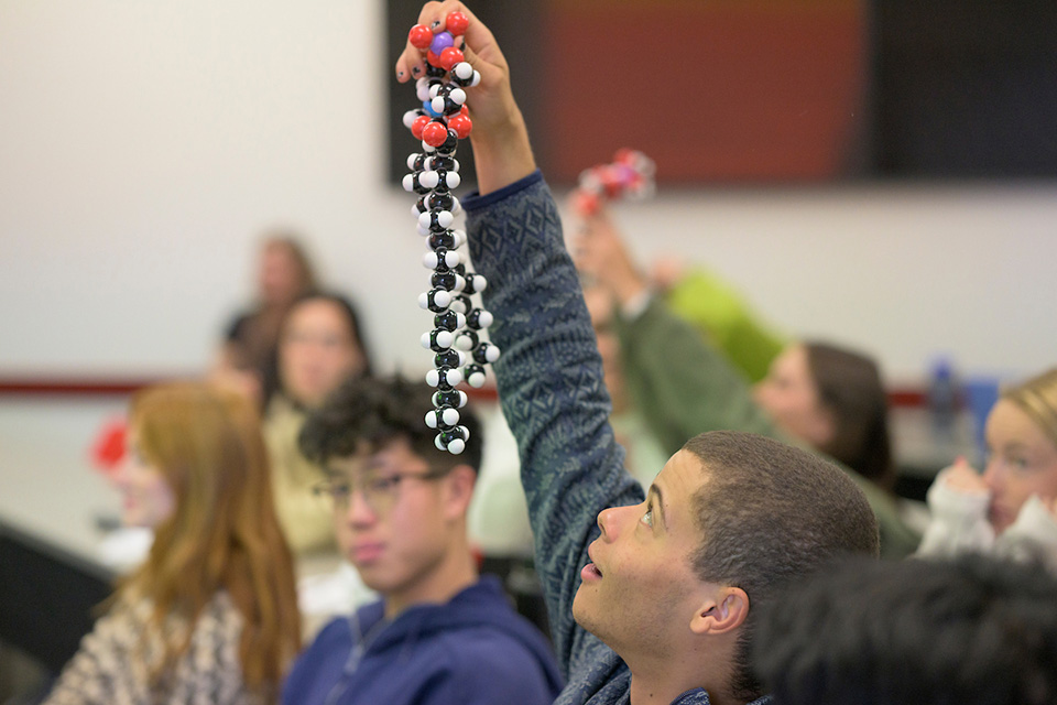 A student holding a model of DNA.