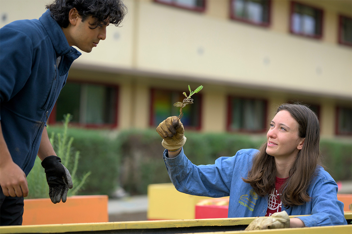 Two students working in a garden on campus.