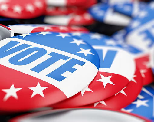 Image of Vote Pin