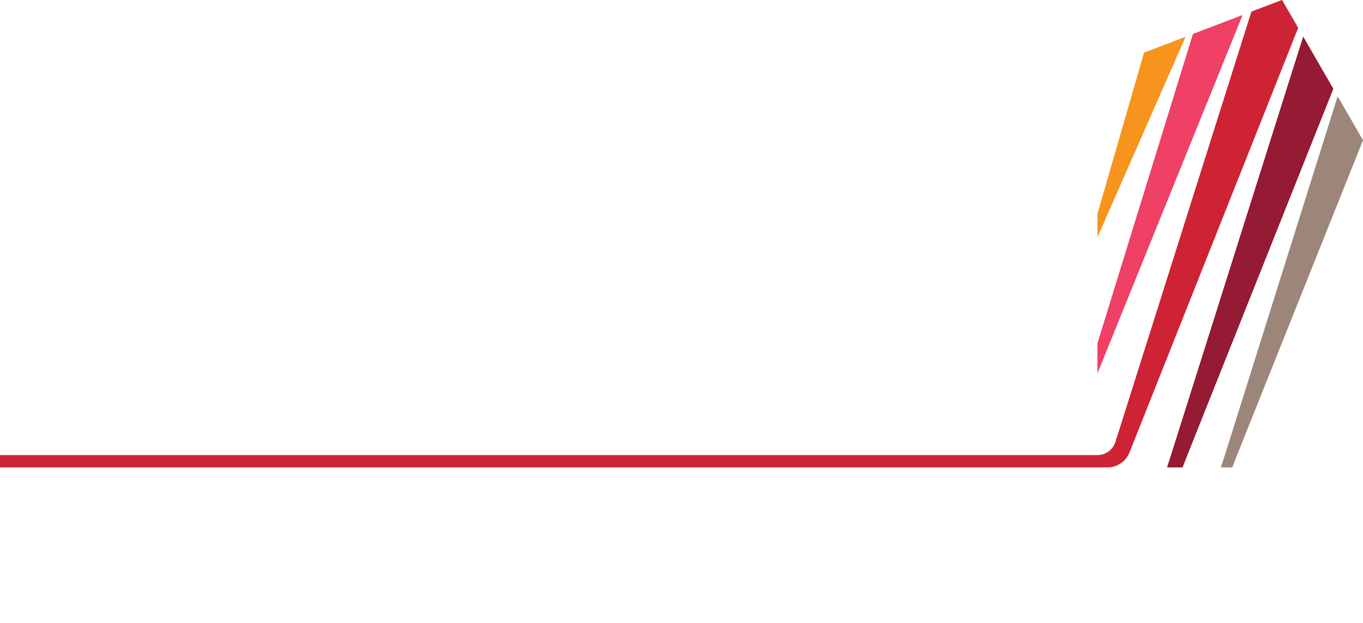 CMC Leads Summit logo in white.