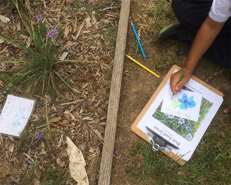 A student working on an activity sheet in the campus garden.