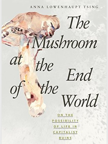 Book cover of The Mushroom at the End of the World.
