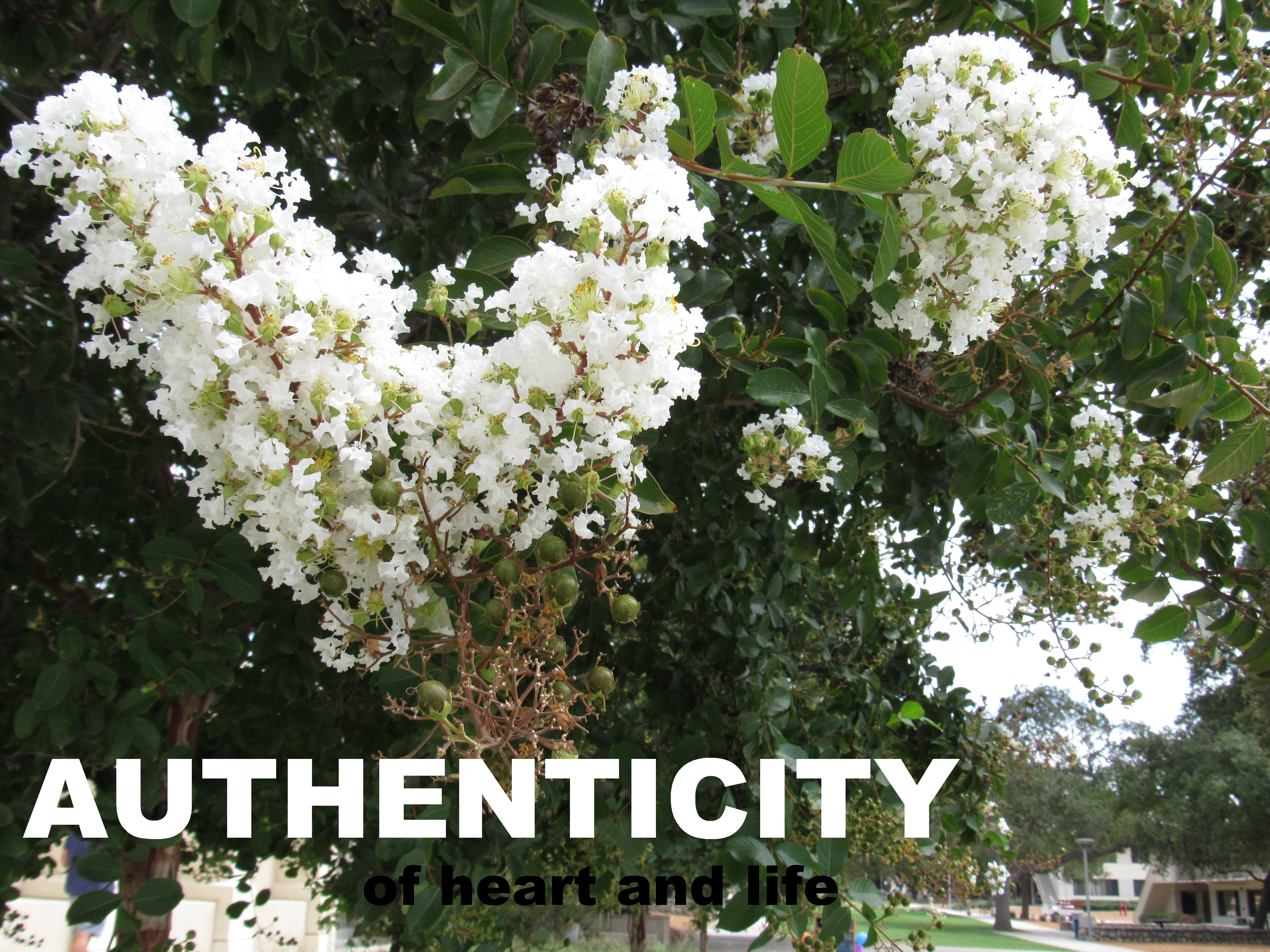 Authenticity Logo