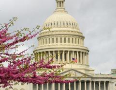 Capitol Building in D.C.