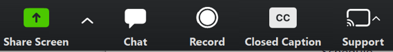 Zoom bottom menu showing record button