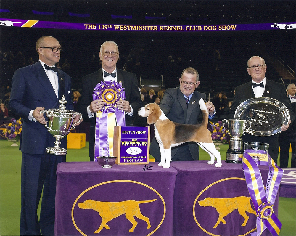 Westminster Dog Show