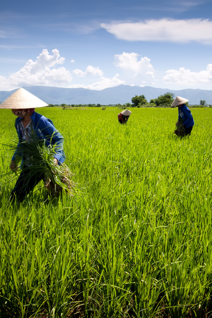 Vietnam