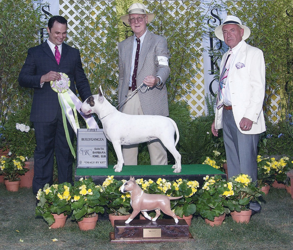 Westrminster Dog Show