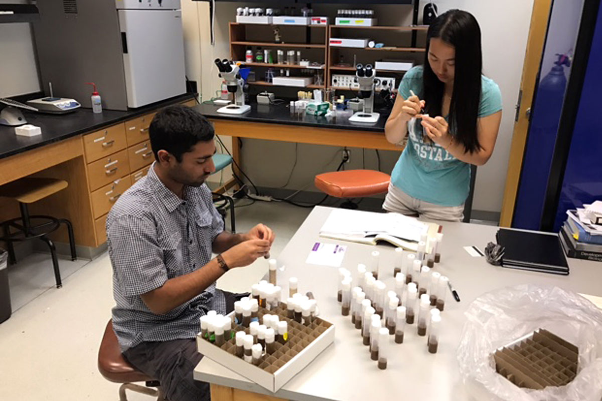 CMC seniors Nitin Kuppanda and Becky Cheng