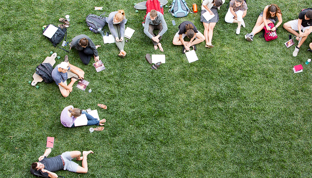 students on lawn studying