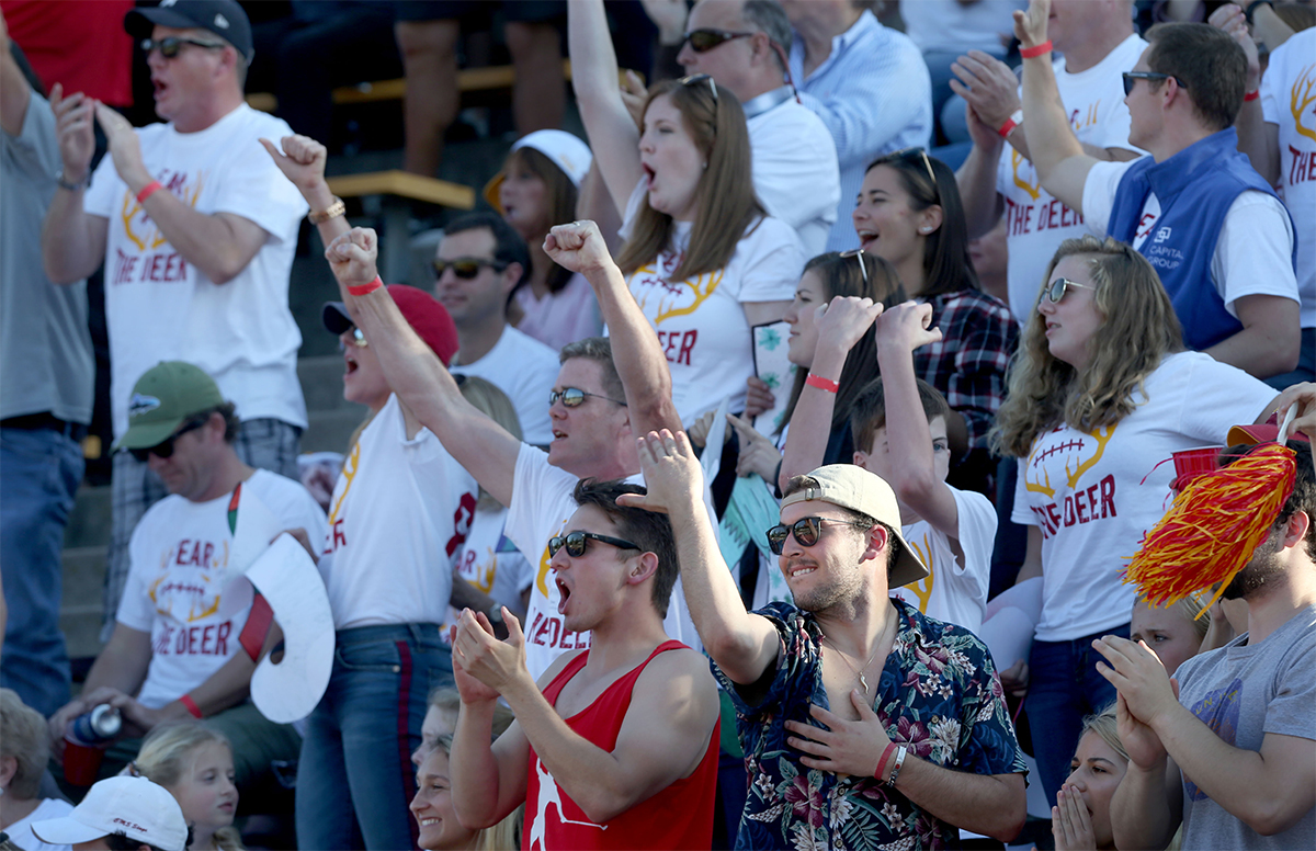 Fans in the stands