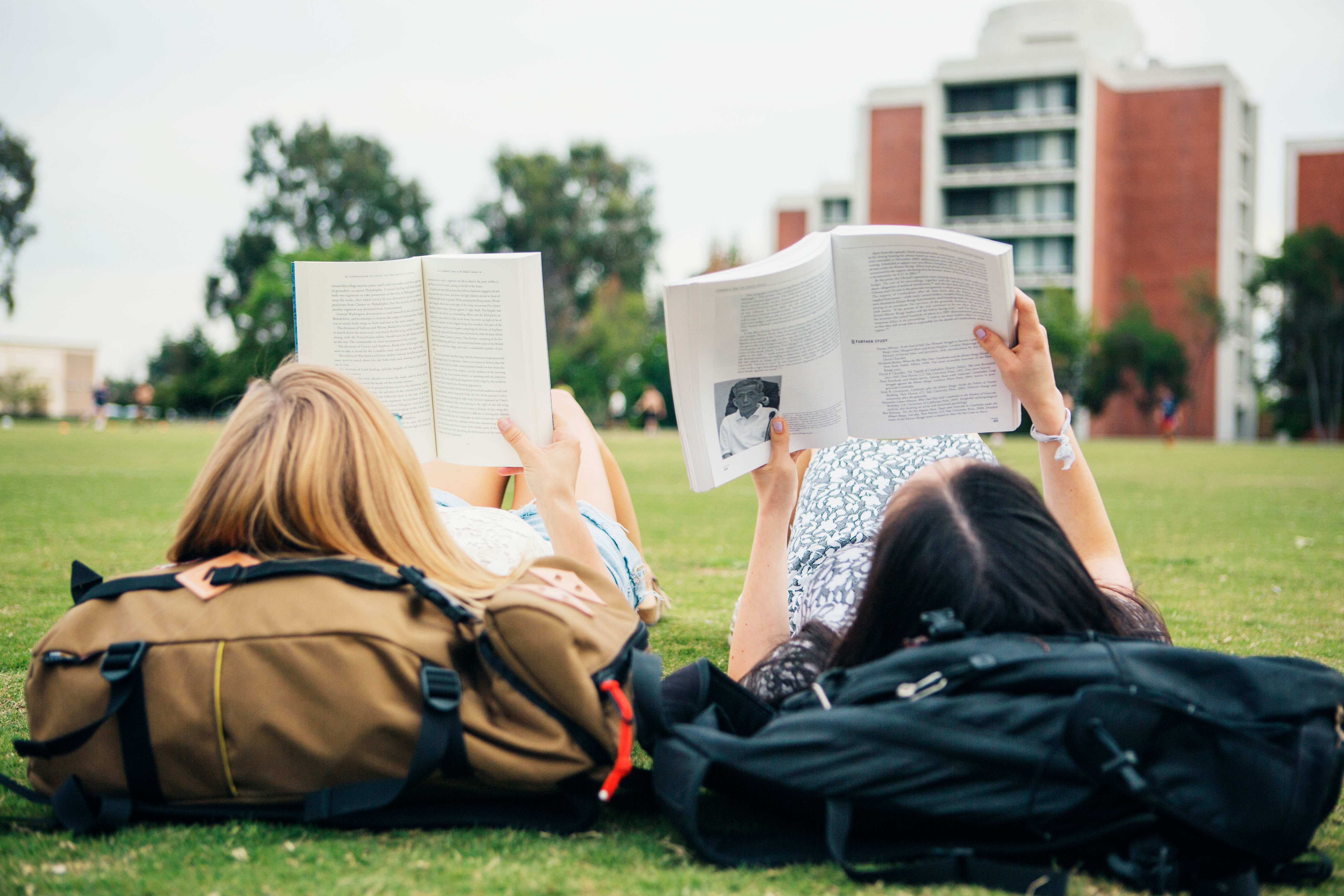 Students reading