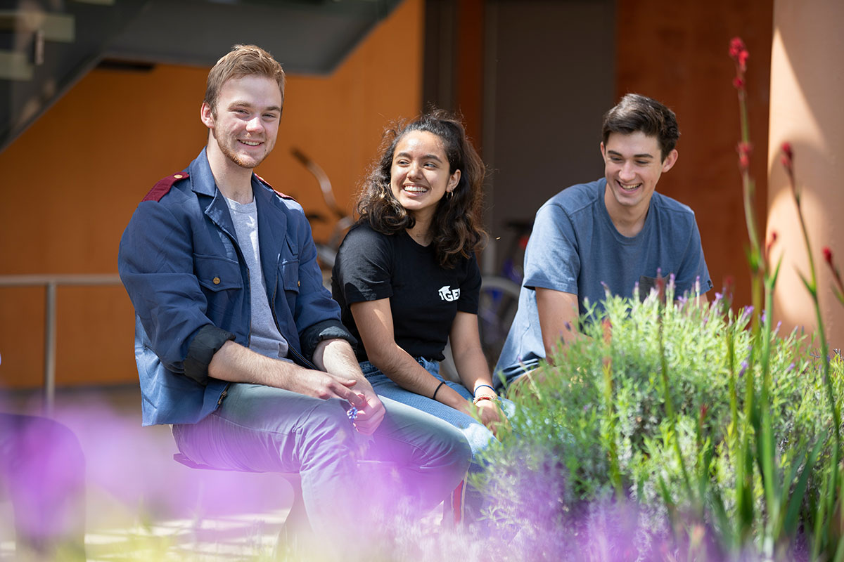Appel fellows