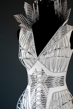 View of the Bodice of Tori Johnson's dress