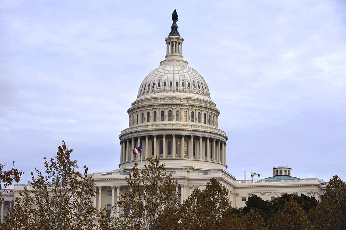 View of the United States Capitol Building in DC