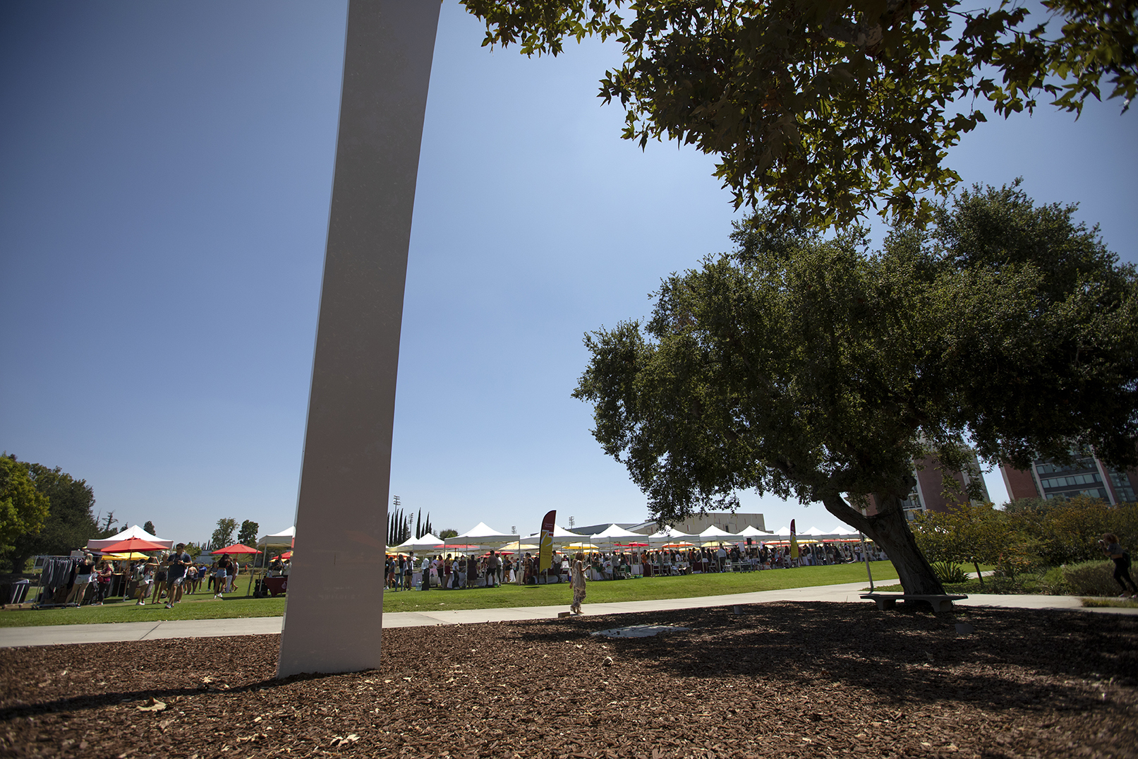 A steady stream of activity at CMC’s Club and Institute Fair on Parents Field.