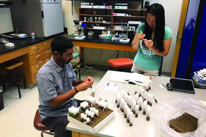 Becky Cheng ' 17 (right) and Nitin Kuppanda '17