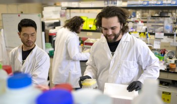 David Marash and team working in lab.