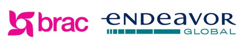 Logos for Brac and Endeavor.
