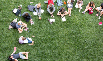 students on lawn studying