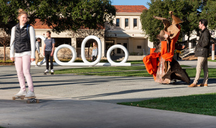 Carol Bove sculpture installation at CMC