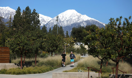 Up for the 1946 challenge: CMC community shares the love