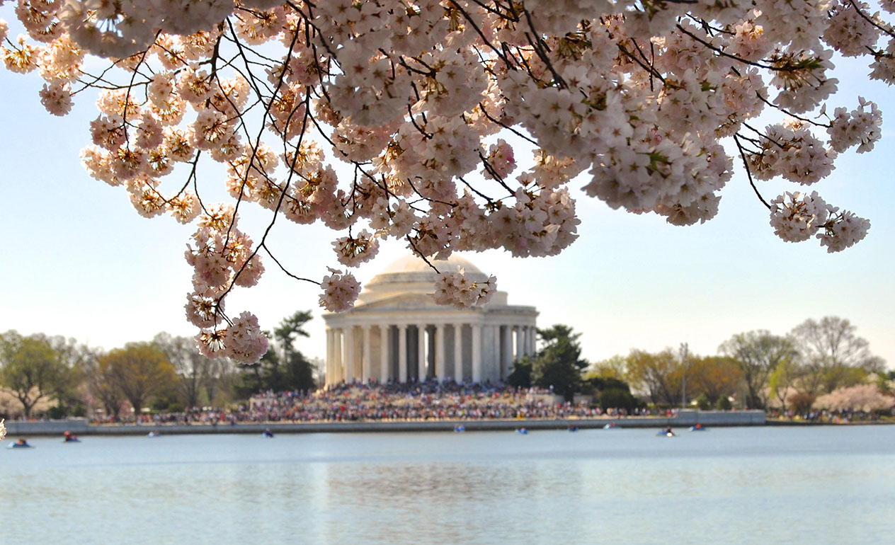 View of the Potomac